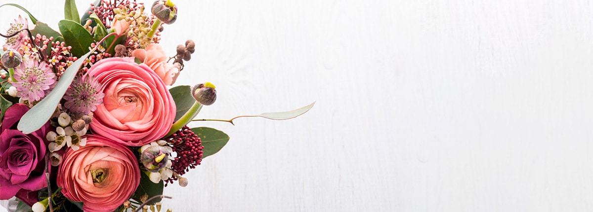 Regalar flores para enviar a los hospitales